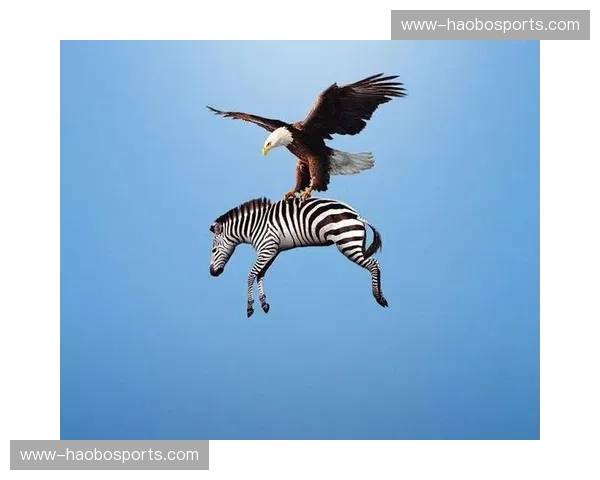 成都蓉城补时绝平保住不败金身 心理抗压能力经受考验